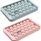 ICE CUBE TRAY Each