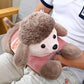 Electric Teddy Hot-Water Bag