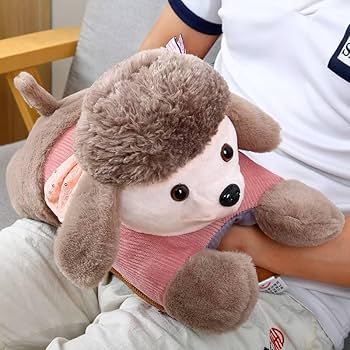 Electric Teddy Hot-Water Bag