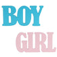 Wooden Letter Blocks Blue/Pink Table Centerpieces for Baby Shower