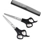 Stainless Steel Pet Hairdressing Scissors Set