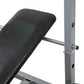 Pro-Sportz Multifunction Adjustable Weight Bench With Leg Developer & Barbell Rack