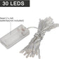 Battery Operated Fairy String Lights