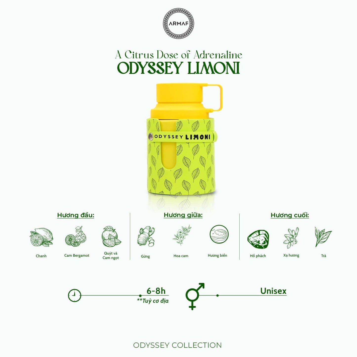GENERIC Armaf Odyssey Limoni Eau De Parfum Fresh scent- 100ml