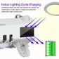 Uv Toothbrush Sanitizing Device Toothbrush Holder Toothpaste Dispenser