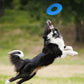 Pet Frisbee