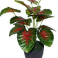 Artificial Plant with Long Leaves