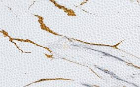 MHome UV 3D Wall Panelling-Various Options