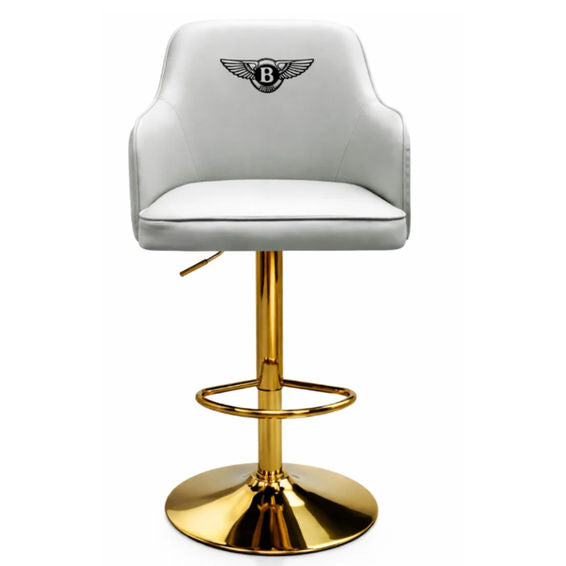 MFURN Modern Elegant Bar Stool-Various Colours PreOrder Sales Now Available!