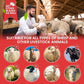 MTech High-Power 690W Animal Shearing Clippers – Sheep, Goats, Horses & Dogs