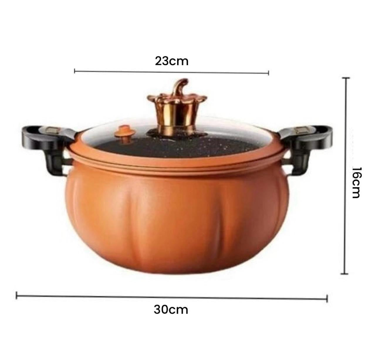 Pumpkin Pressure Pot -23cm