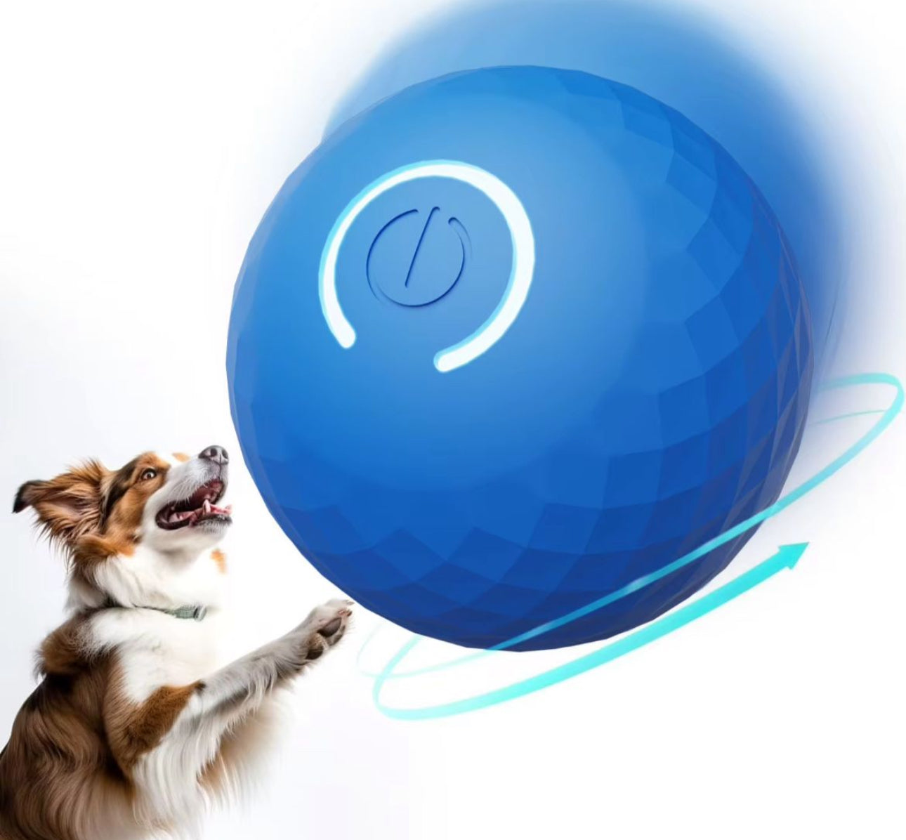 Petz Interactive Smart Play Ball - Various Options