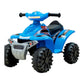Kids’ Electric Ride On - Mini Quad Bike