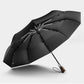 Foldable Umbrella