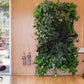 Vertical Hanging Garden Planter with 7 Pockets Waterproof Wall Mount Flower Pot Grow Bag Container Indoor Outdoor