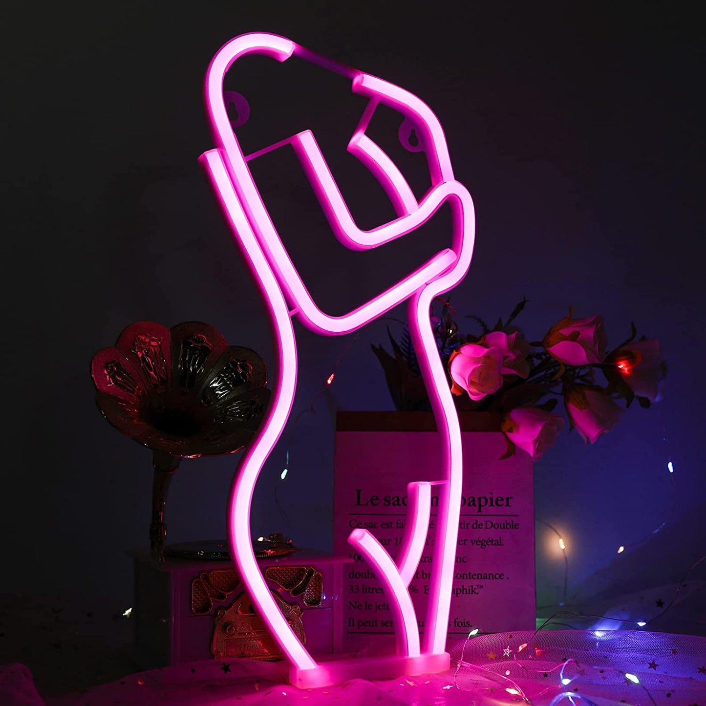 Lady LED Neon Sign (Front)
