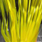 Party Decoration Foil Fringe Backdrop for Birthday , Wedding - 2M