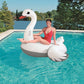 Inflatable Swan Pool Float – Large Ride-On