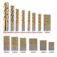 Drill Set 99pc Titanium Coated HSS