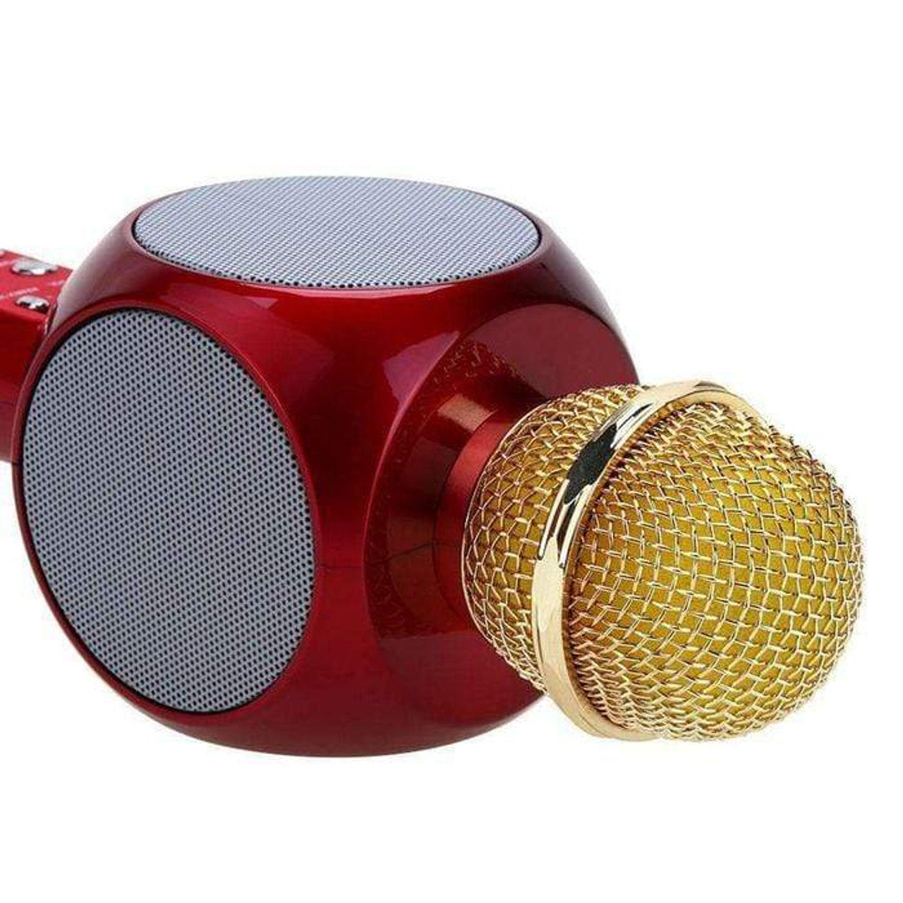 Karaoke Multifunctional Mic - Various Colours
