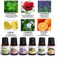 Air Cooler Humidifier –  6pc Essential Fragrance Oils Included
