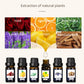 MScent Essential Oils Set | Aroma Humidifier Fragrance Oil 6 x 10ml