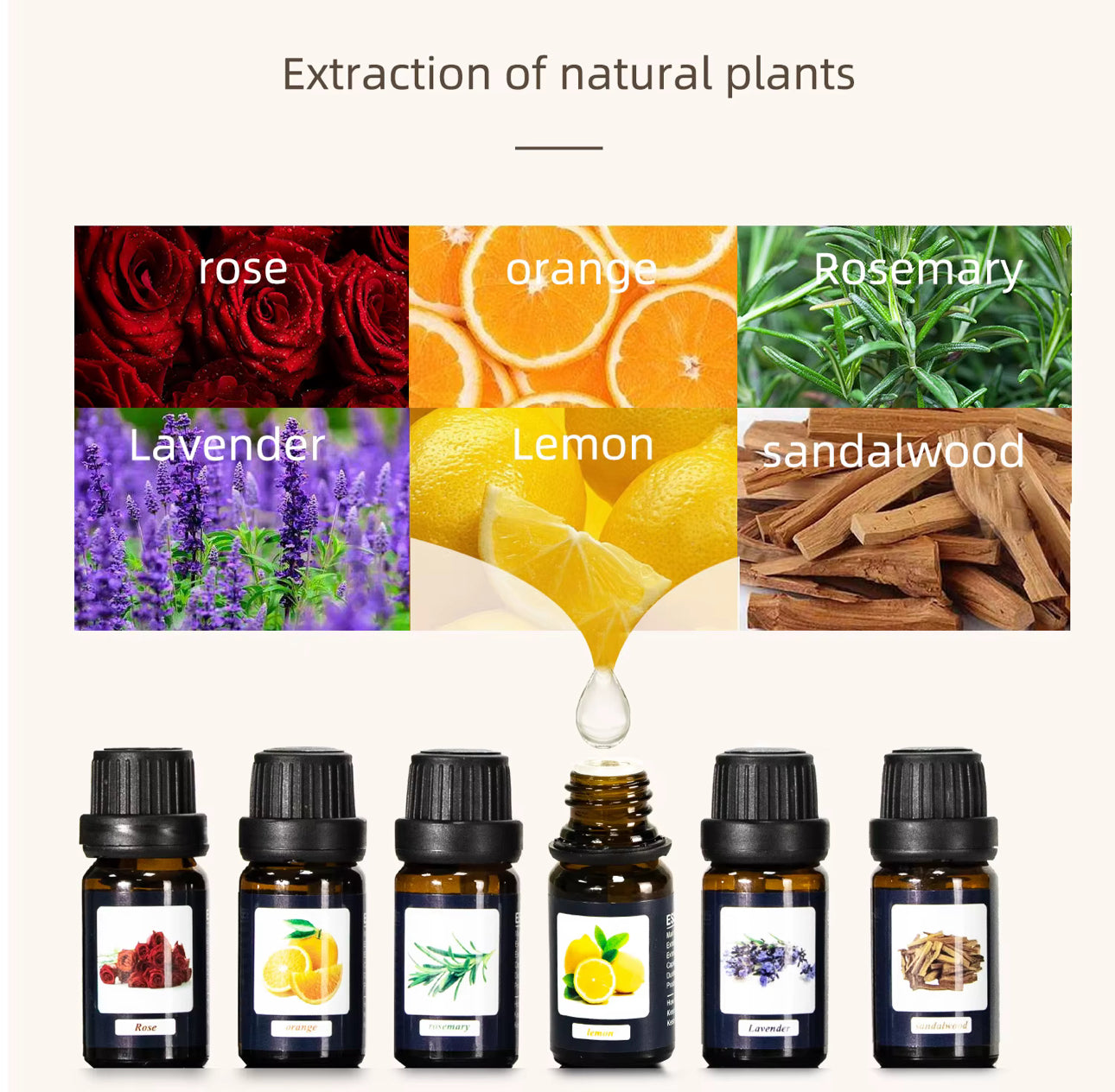 MScent Essential Oils Set | Aroma Humidifier Fragrance Oil 6 x 10ml