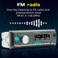 Digimark FM Radio/MP3 BT Player