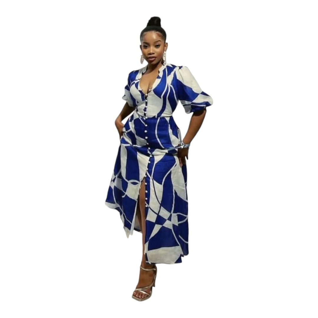 Ladies Floral Printed Dress