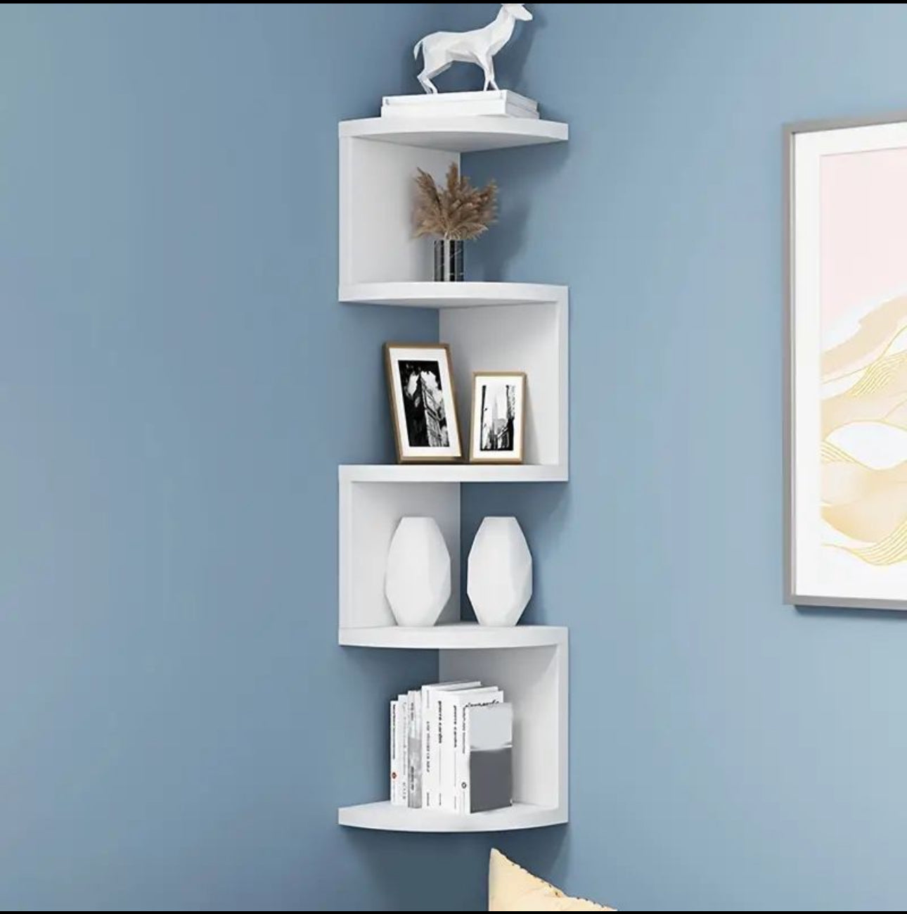 Corner Book Shelf D-Shaped