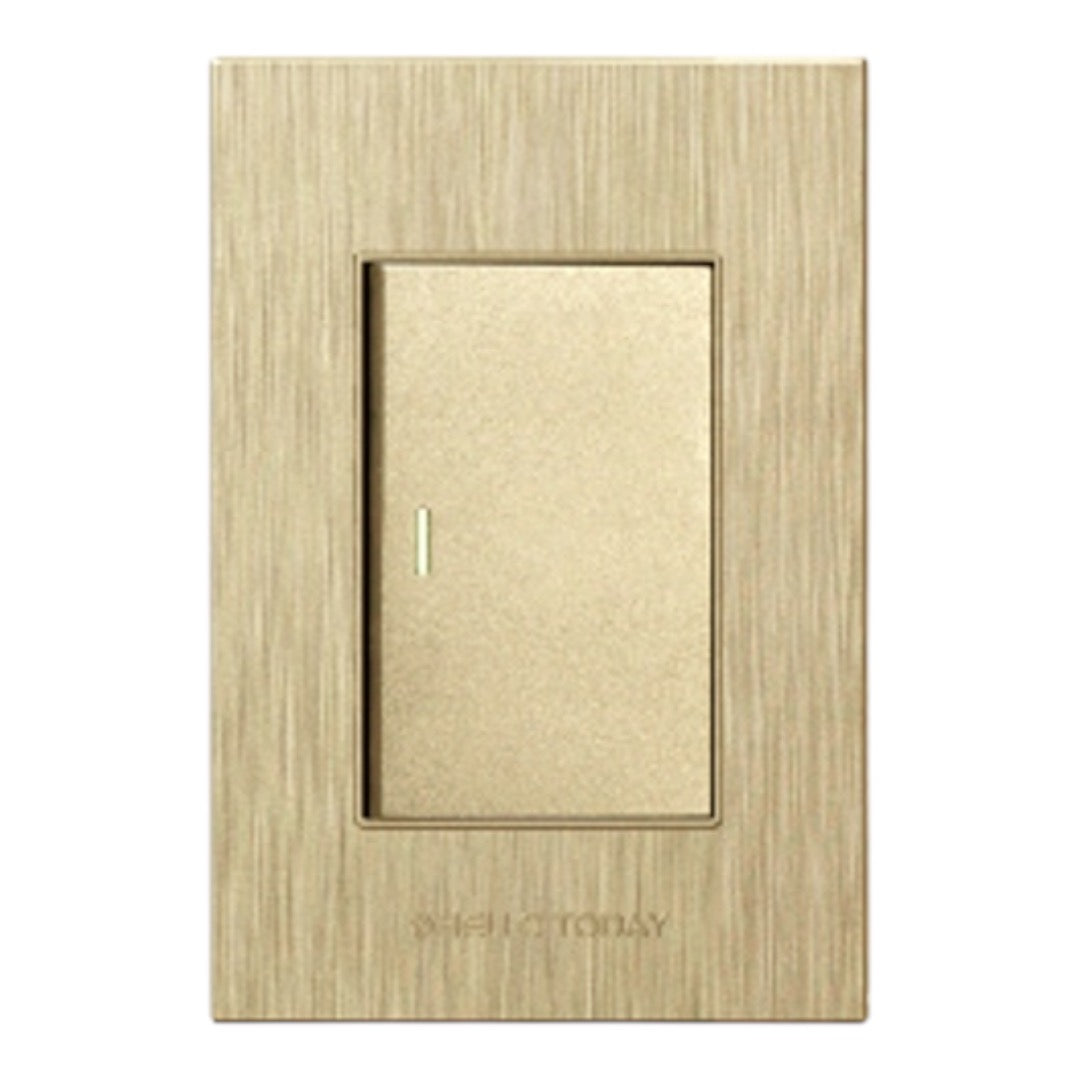 HELLO TODAY 1Lever Switch Gold Design 2×4