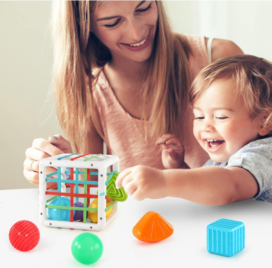 Toddler Toys for 1 2 3 Year Old Boys Girls,Baby Sorter Toys Colorful Cube with 8 Pcs Multi Sensory Shape,Learning Toys for Toddler Age 2-4,Montessori Toys for 1 2 Year Old,Gifts for 2 3 4 Year Old