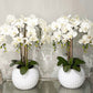 White Faux Orchids in Large Ceramic Bowls
