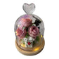 MHome Preserved Flower Dome Gifts - Various Options