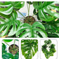 Artificial Monstera Plant Indoor, Artificial Tall Plant 18 Branches in Pot, Large Faux Monstera Plant Real Touch Green Fake Plants for Bedroom Office Garden Wedding Party Deco 1M