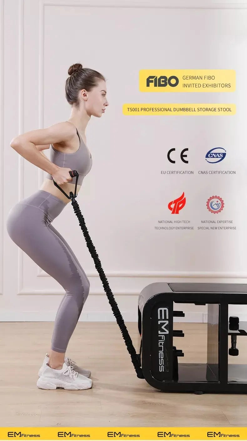 Multifunction Dumbbell Bench Fitness Chair Dumbbell Rack Core Training Equipment Fitness Storage Rack Pulling Rope Two-in-One-Preorder Sales Only