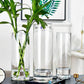 Trendy Narrow Glass Vases