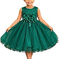 Young Girls Elegant Dress-Various Options