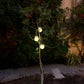 SOLAR JAR LIGHT