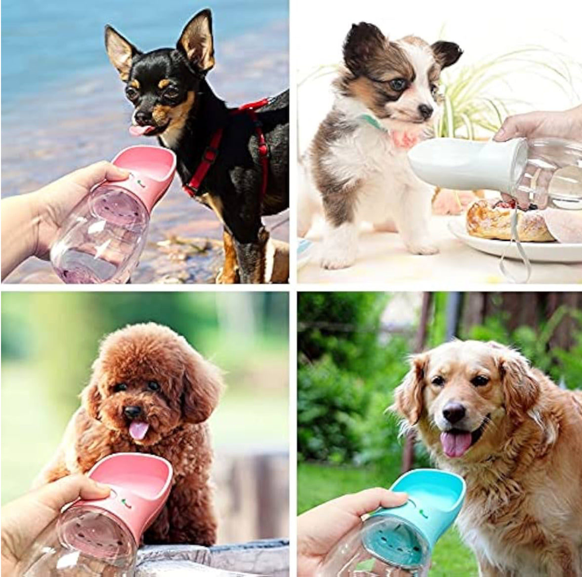 Pet Water Bottle for Small Large Dogs Travel Puppy Cat Drinking Bowl