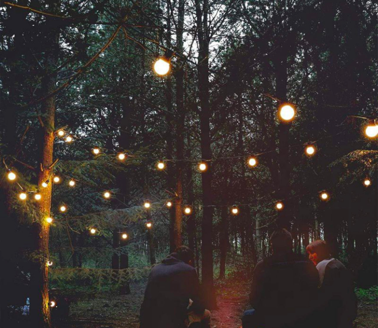 Festoon LED Round 10 White Color Bulb String Light Warm White 5M 220V