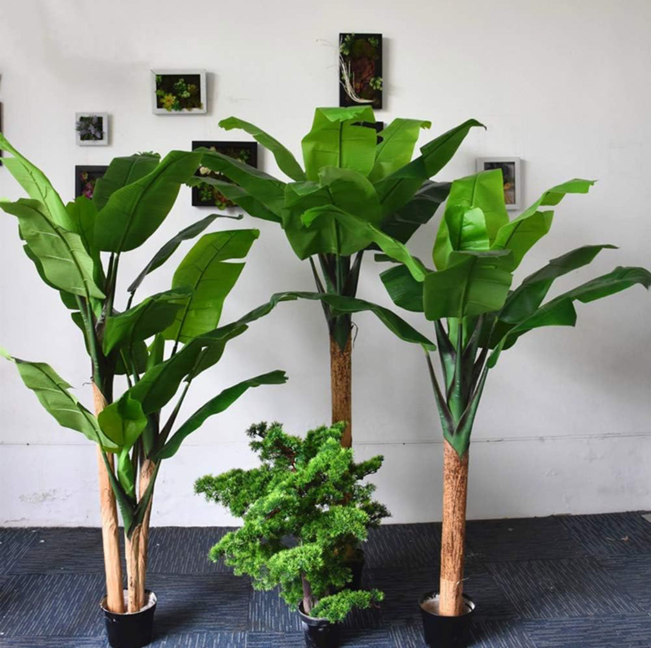 Artificial Banana Tree - Crack Banana Tree - Artificial Plant Floor (with Pot),2.5M