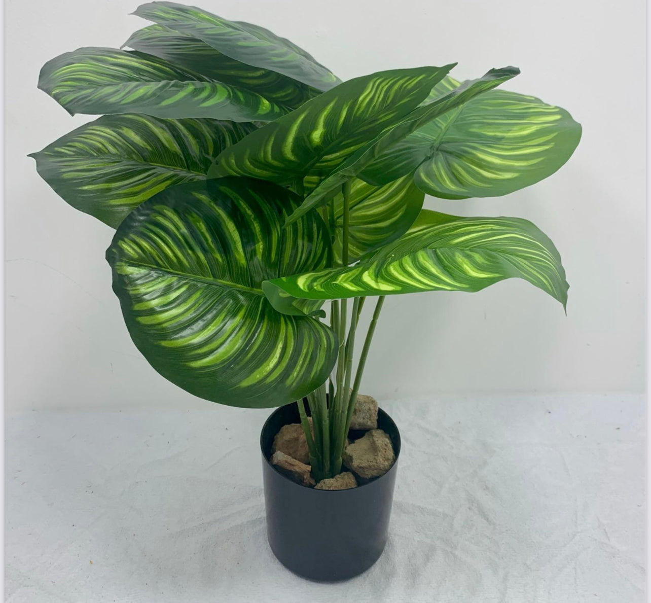 Artificial Calathea Orbifolia Plant for Home Decor/Office Decor/Gifting | 50cm