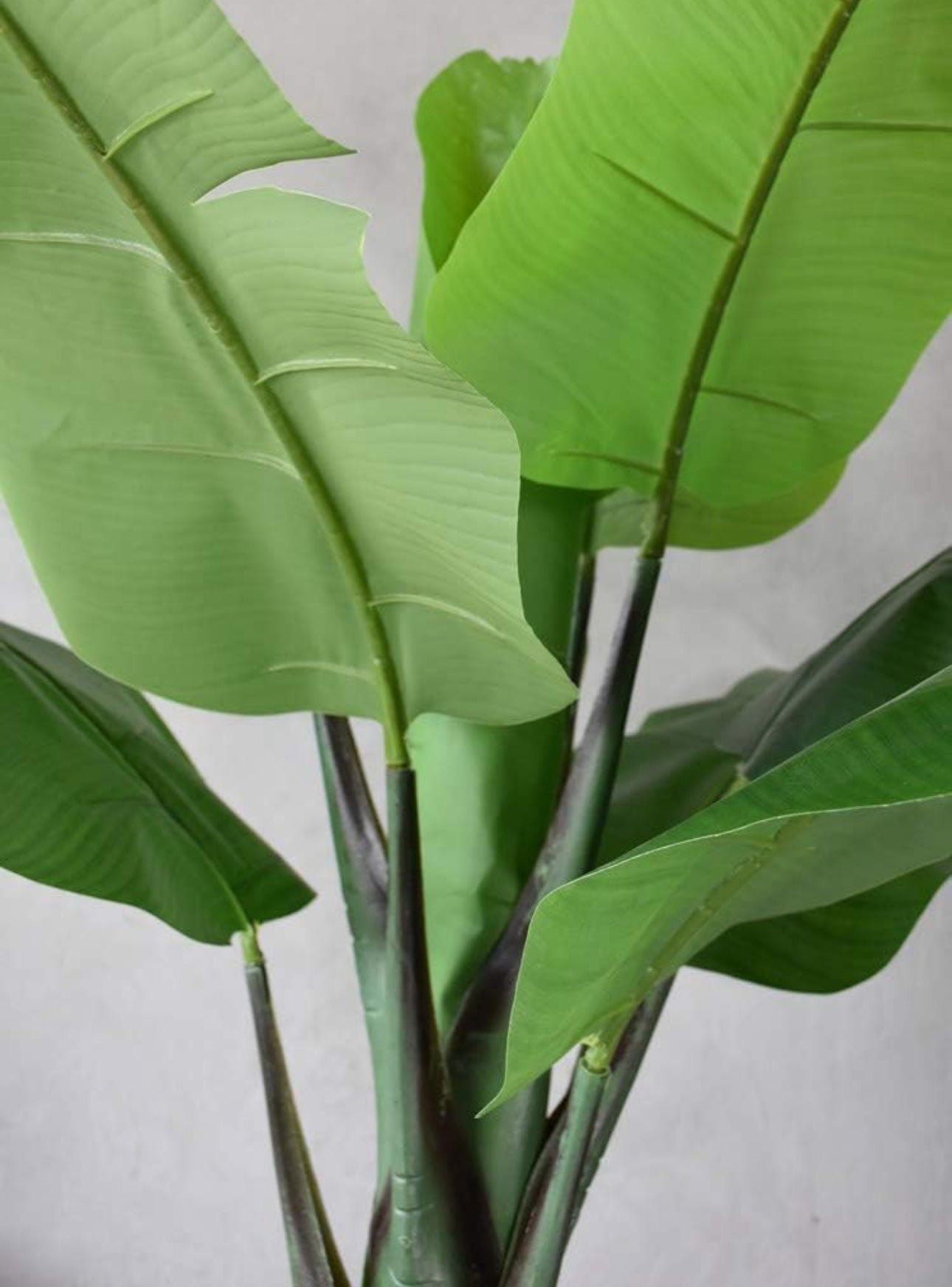 Artificial Banana Tree - Crack Banana Tree - Artificial Plant Floor (with Pot),2.5M
