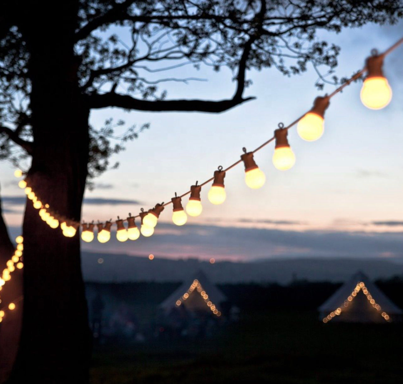 Festoon LED Round 10 White Color Bulb String Light Warm White 5M 220V