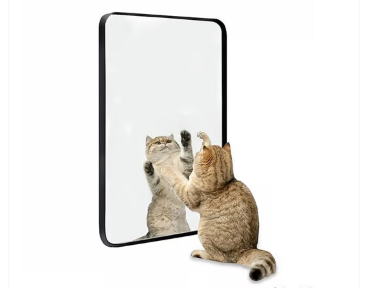 Mirrors Rectangular Black or Gold Frame Mirror 40x60cm