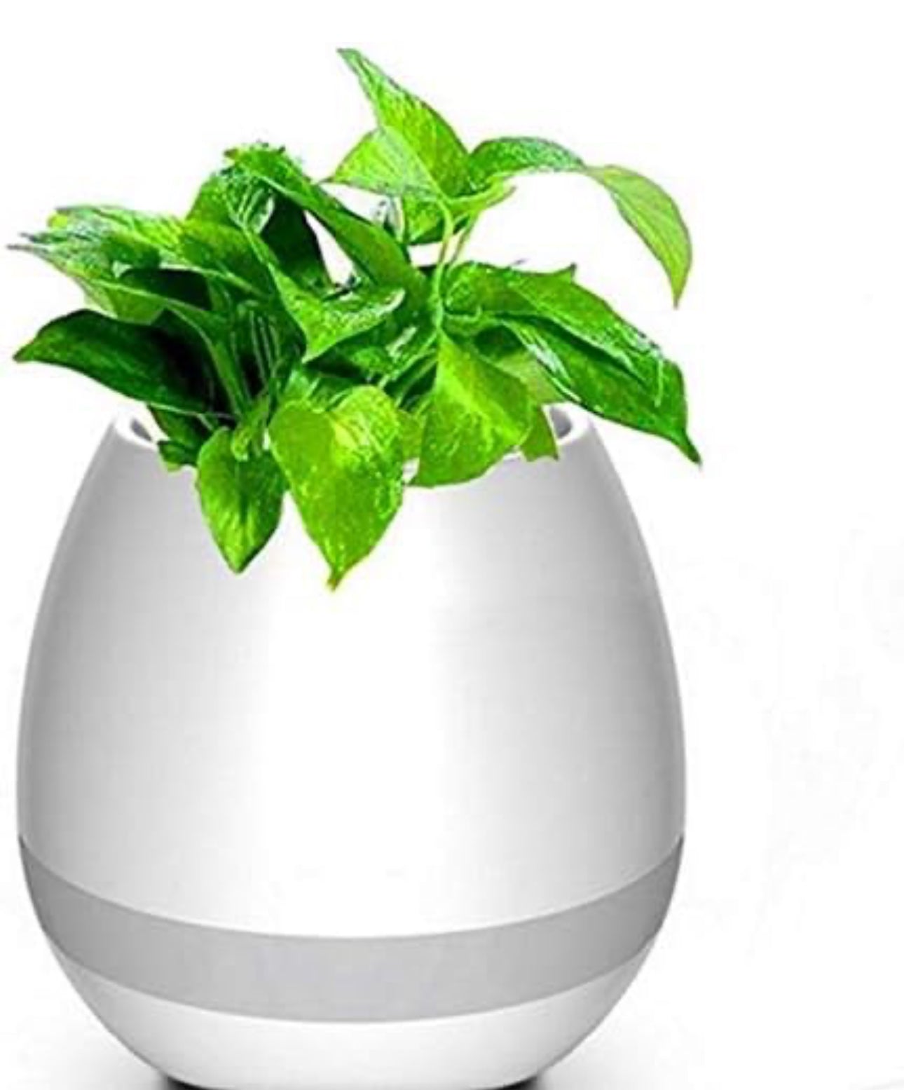 Creative Smart Bluetooth Touch Music Flower Home Office Decoration Green Music Flowerpot Night Light with Speaker