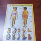 My Body” classroom educational poster for schools/Home