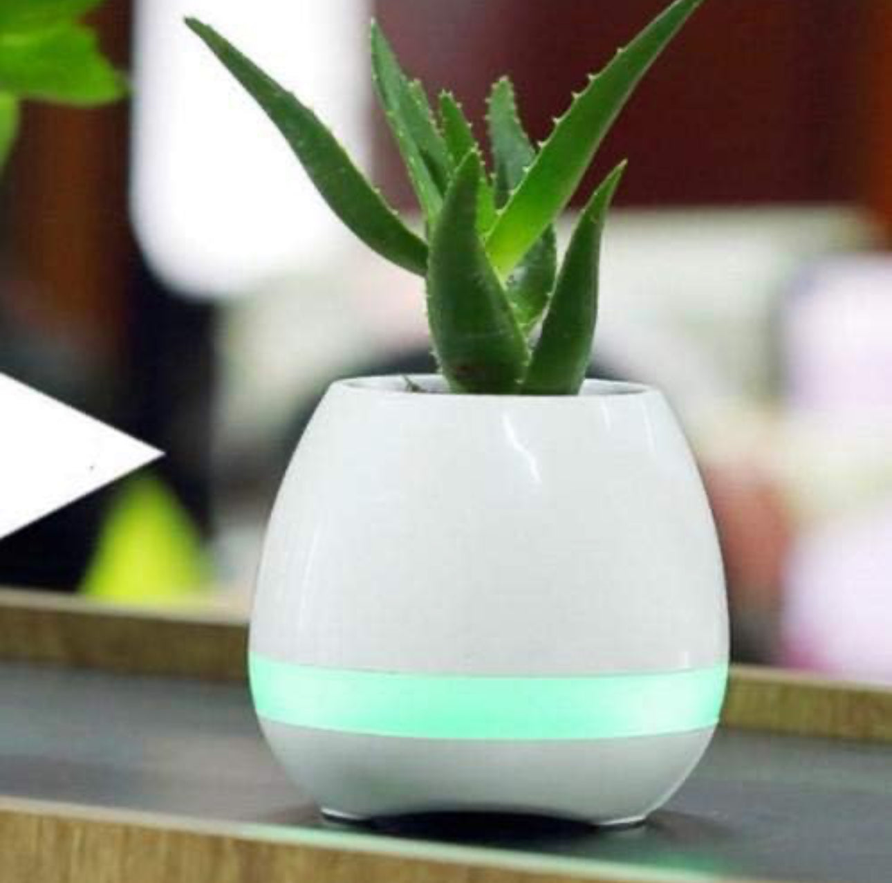 Creative Smart Bluetooth Touch Music Flower Home Office Decoration Green Music Flowerpot Night Light with Speaker