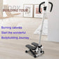 Stair Stepper with Handlebar,Exercise Stepping Machine with Resistant Band,Portable Stair Steppers for Home/Office